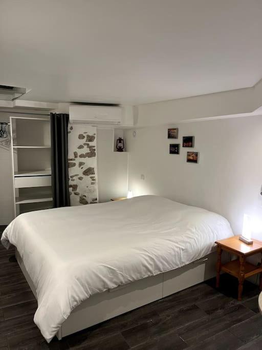 Appartement Climatise Albi - Centre エクステリア 写真