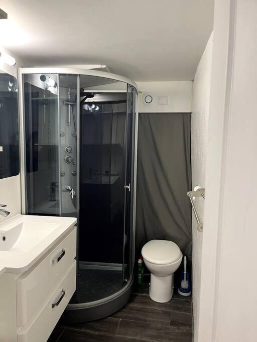 Appartement Climatise Albi - Centre エクステリア 写真